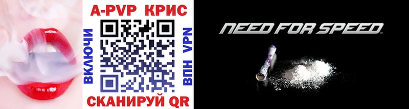 omg рабочий сайт Стародуб А ПВП СК