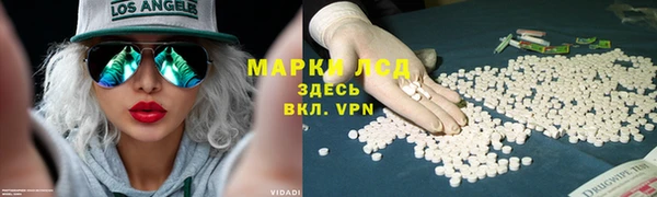 хмурый Алексин