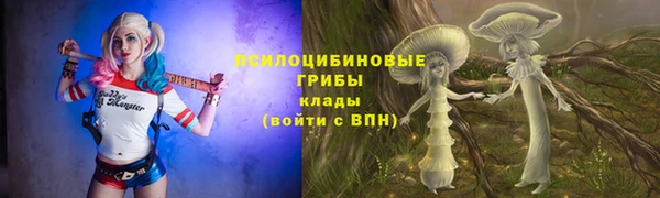 spice Алзамай
