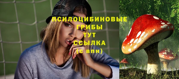 spice Алзамай
