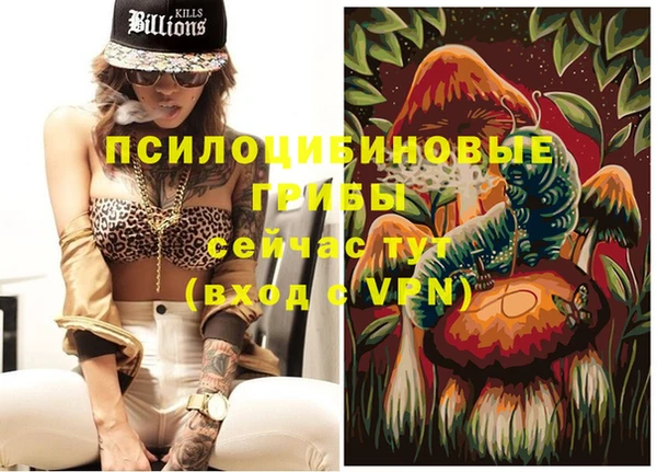 spice Алзамай