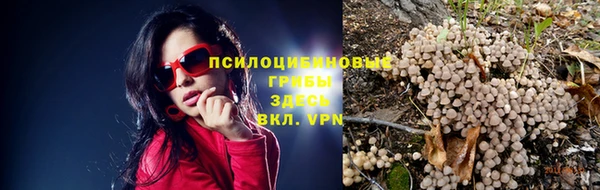 хмурый Алексин
