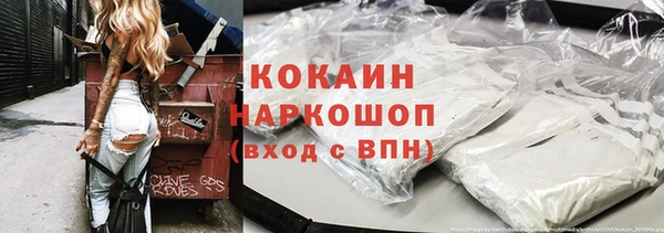 хмурый Алексин