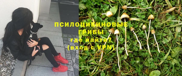 хмурый Алексин