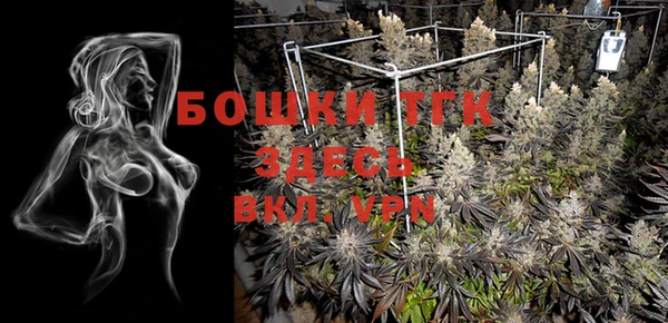 PSILOCYBIN Валуйки