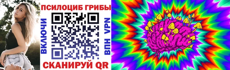 Псилоцибиновые грибы Psilocybine cubensis  купить  цена  Стародуб 